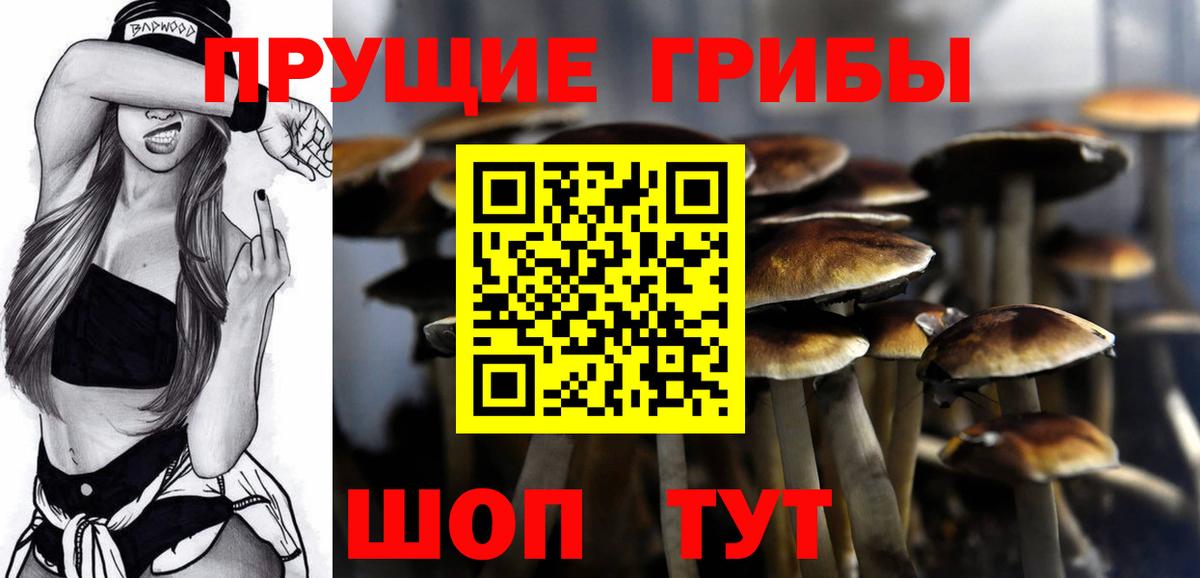 Псилоцибиновые грибы Cubensis Калуга
